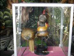 Equator Centre06